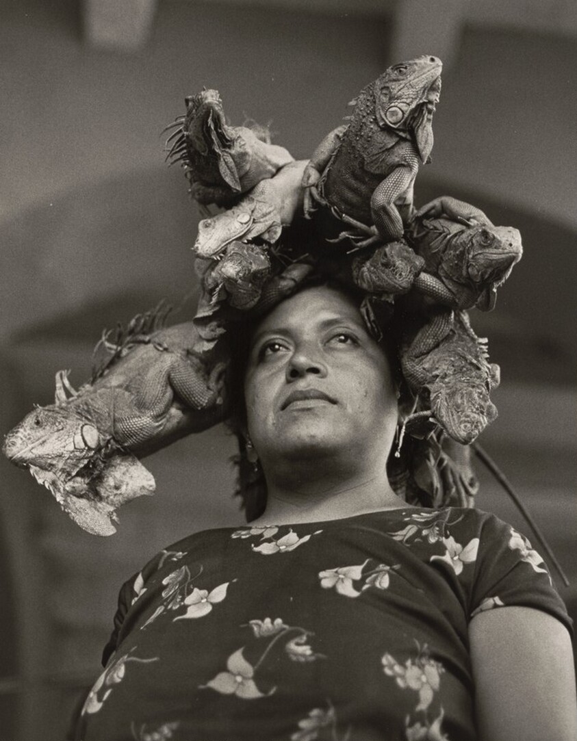 Nuestra señora de las iguanas, Juchitán, México (Our Lady of the Iguanas, Juchitán, Mexico)