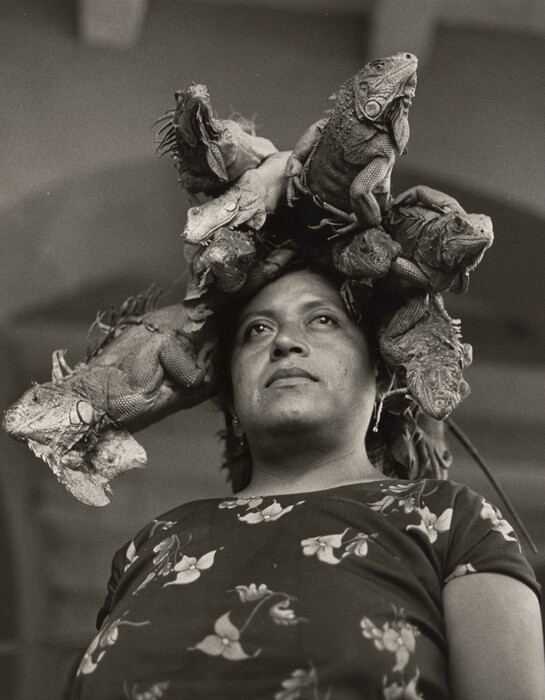 The image depicts the upper body of a person standing and looking upwards. They have short, dark hair, a strong facial structure, and a neutral expression. The person has several iguanas on their head like a headdress. They are wearing a patterned garment with floral designs and a small hoop earring on one ear. The background is blurry with indoor structural elements in sight.