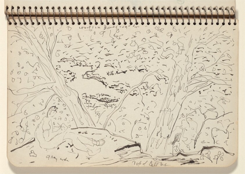 Top of Ball Mountain