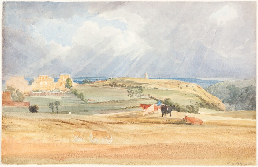 Landscape with Cattle (Somerset?)