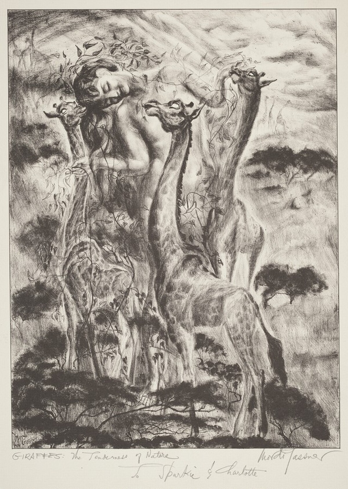 Giraffes: The Tenderness of Nature