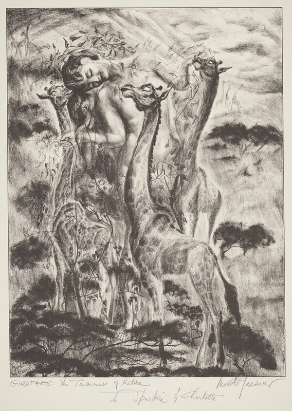 Giraffes: The Tenderness of Nature