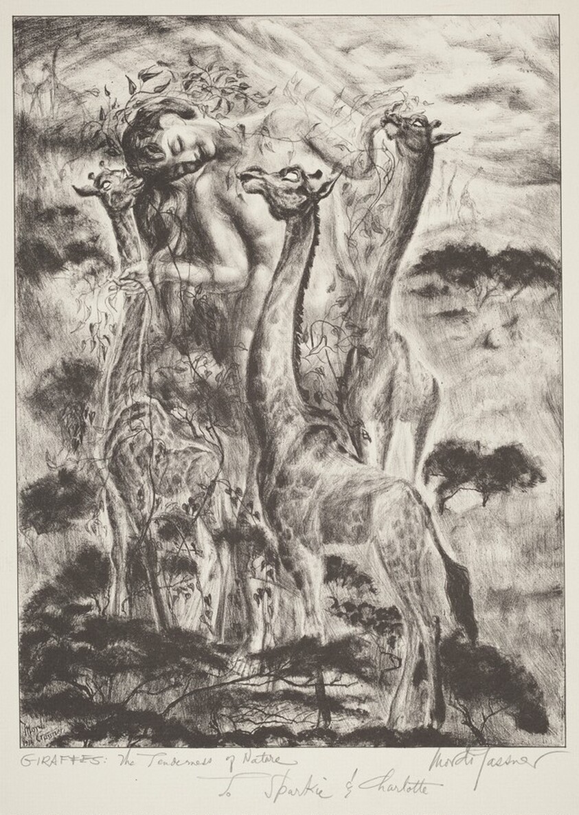 Giraffes: The Tenderness of Nature