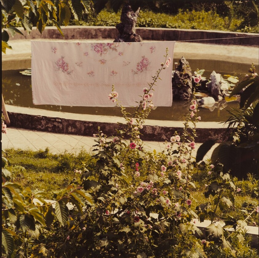 Study for Chinese Summerhall