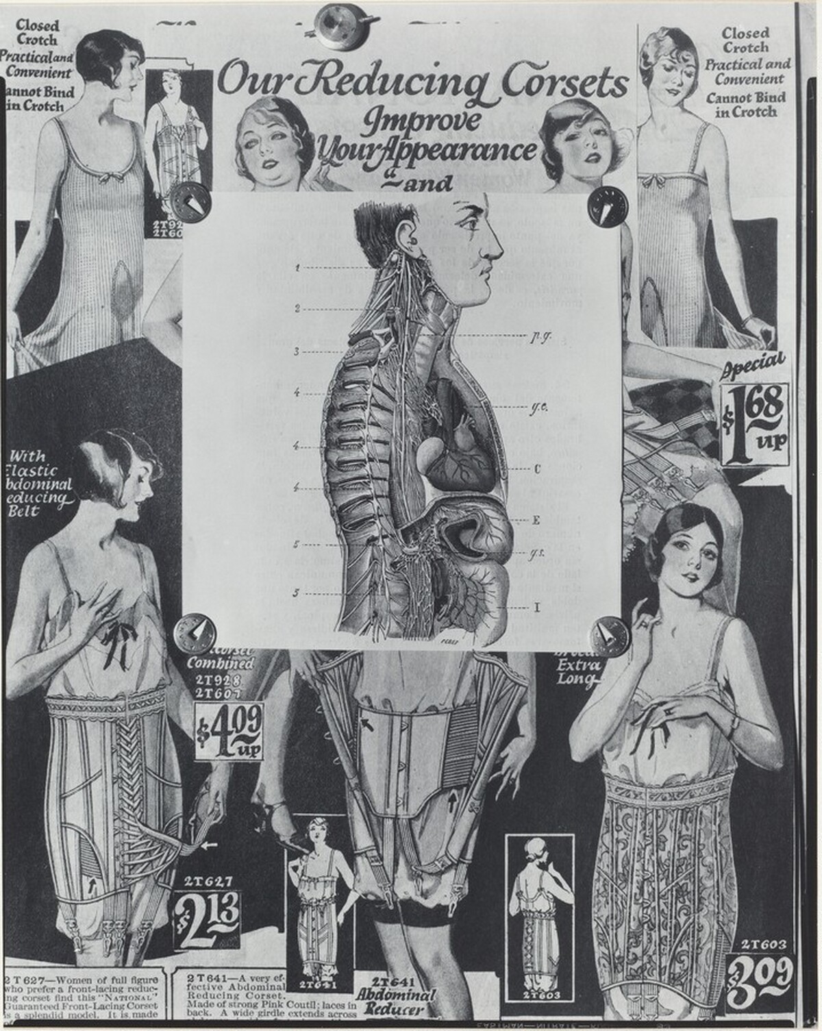 El Sistema Nervioso del Gran Simpatico (The sympathetic nervous system)