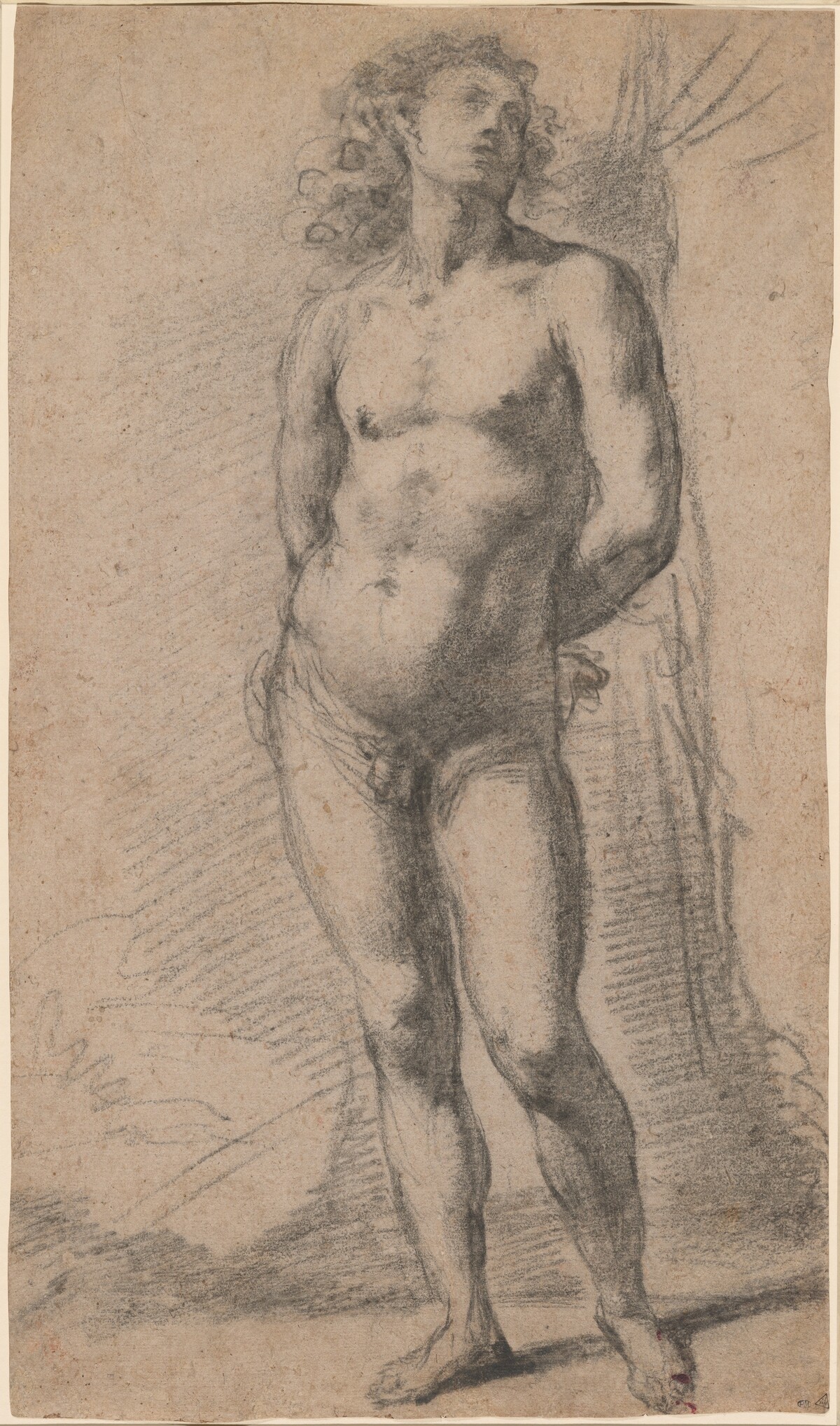 Study of a Standing Male Nude: Saint Sebastian