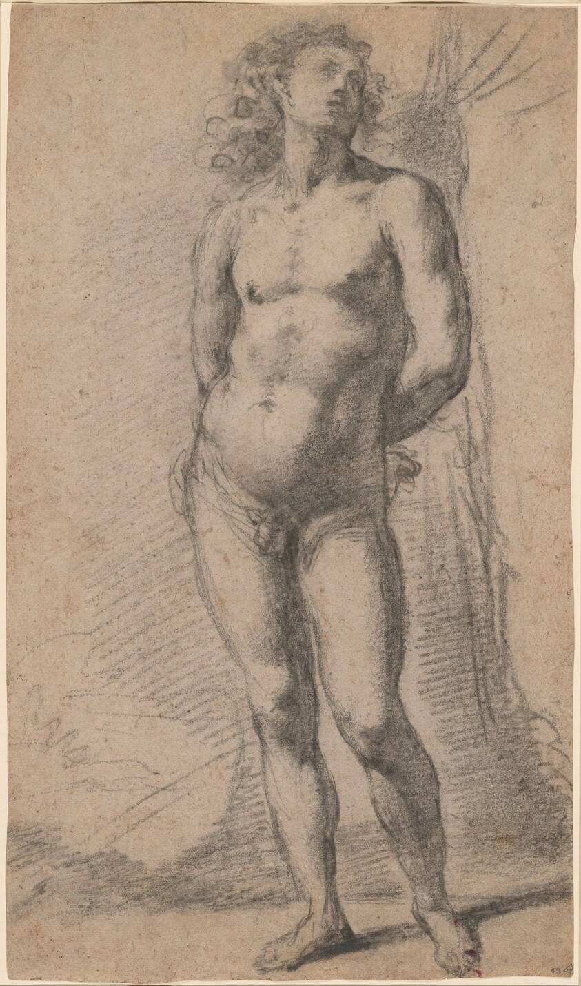 Study of a Standing Male Nude: Saint Sebastian