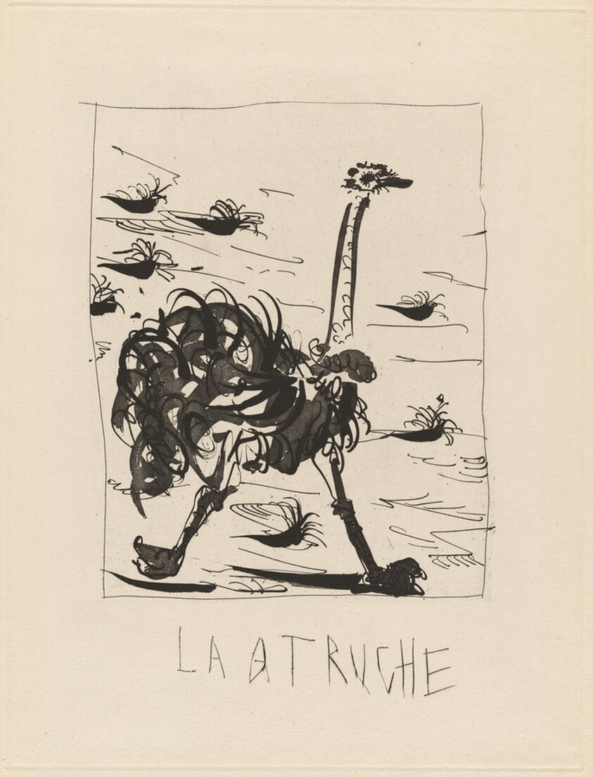 L'Autruche (The Ostrich)