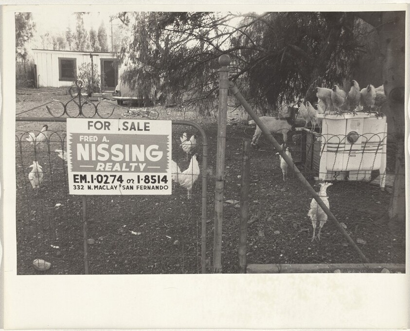 Chicken farm--San Fernando, California