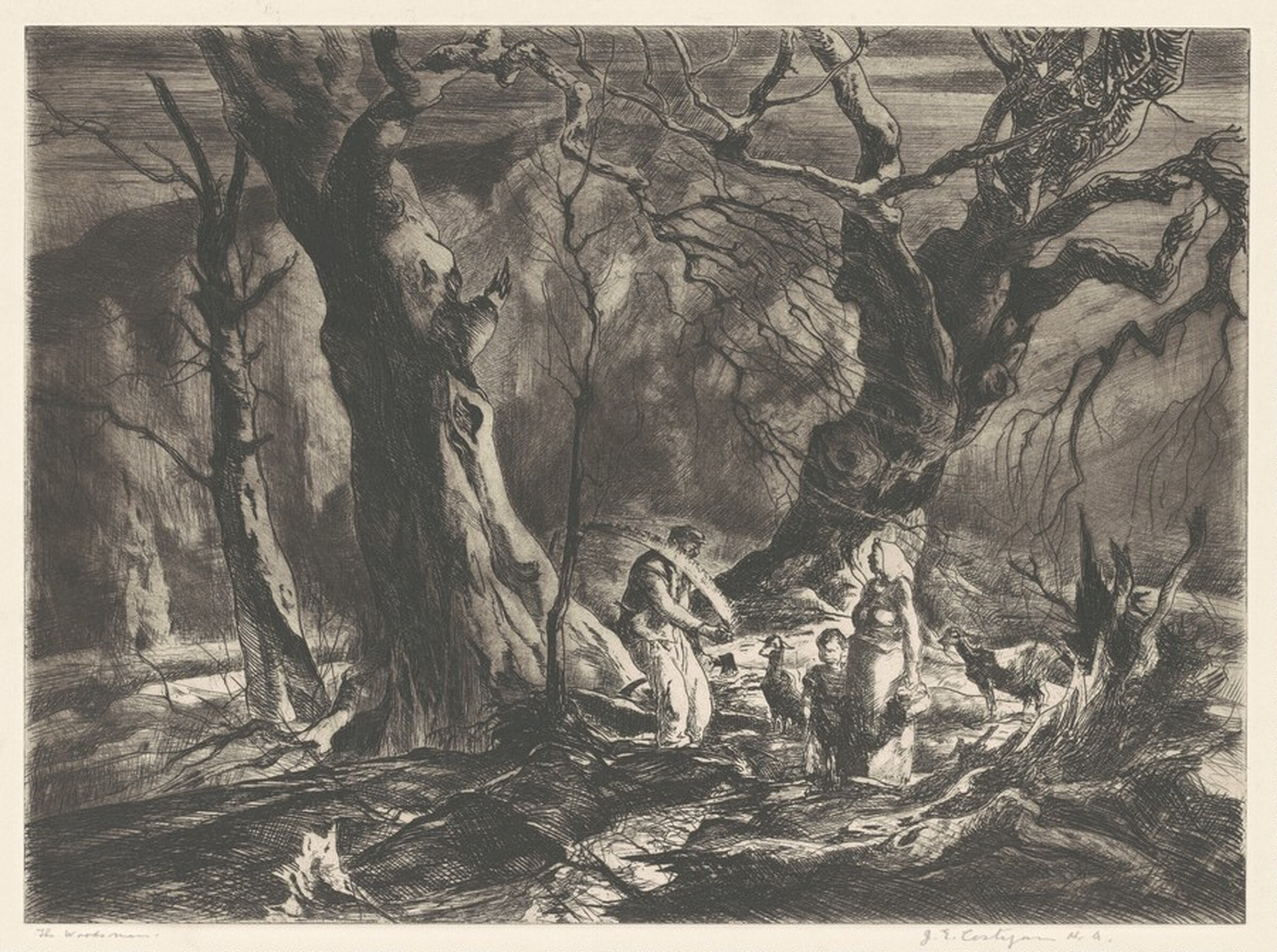 The Woodsman, John E. Costigan, c. 1953