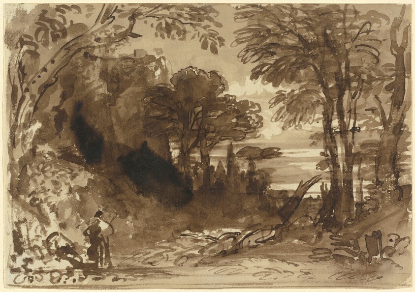 A Clearing in a Forest