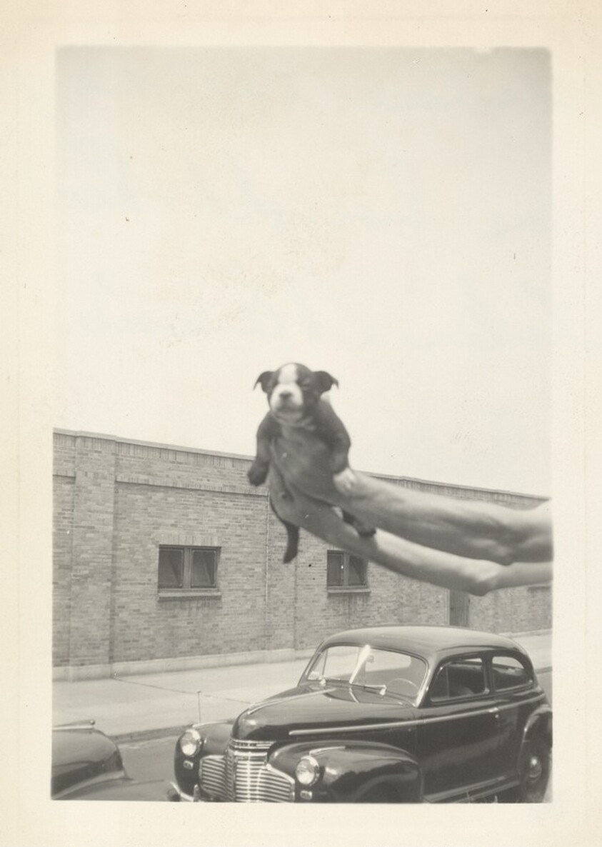"Patsie the day we bought her Taken at Ann's July 10, 1943"