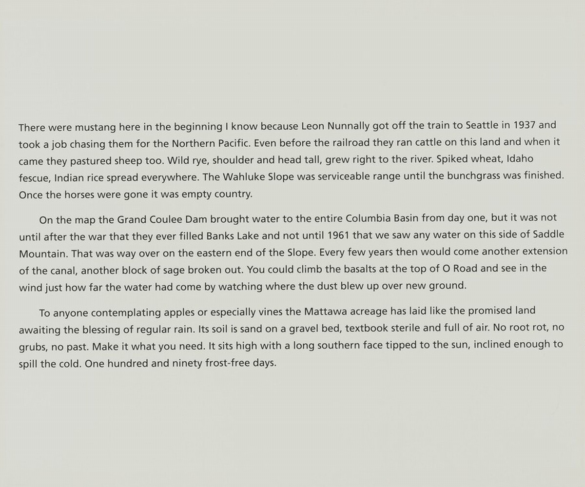 Untitled (There Were Mustang…)