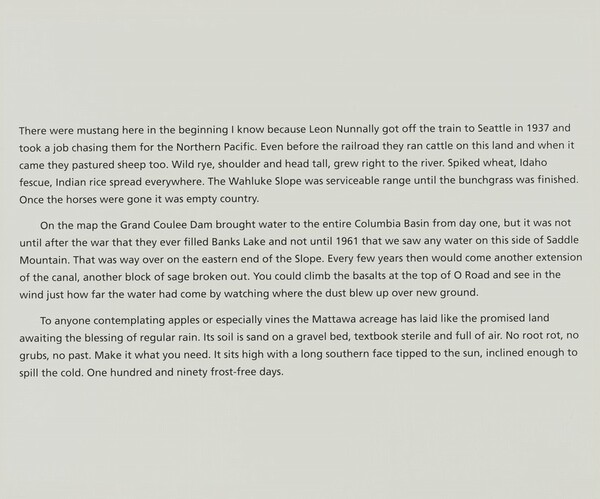 Untitled (There Were Mustang…)