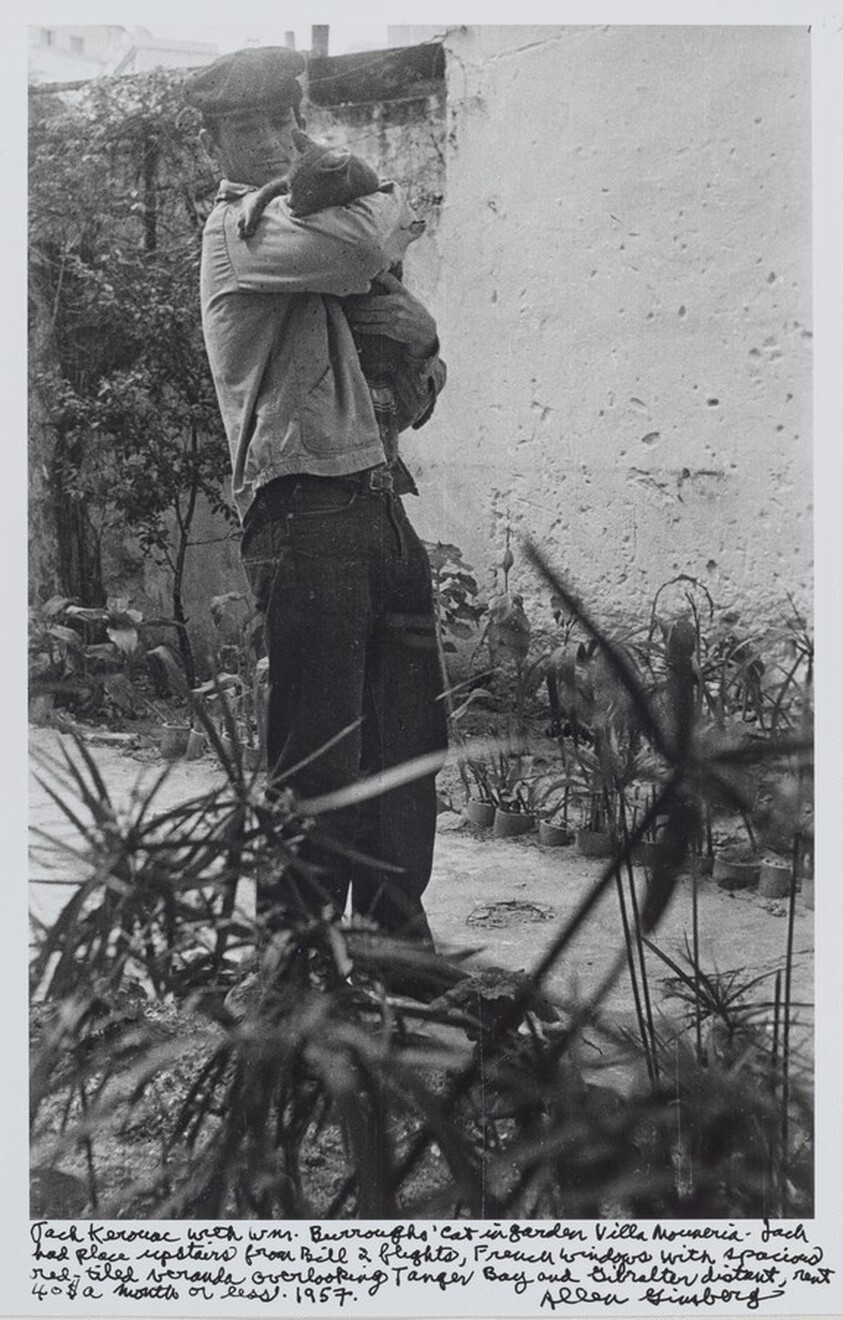 Jack Kerouac with Wm. Burroughs’ cat in garden Villa Muniria. Jack had place upstairs from Bill 2 flights, French windows with spacious red-tiled veranda overlooking Tangier Bay and Gibraltar distant, rent 40$ a month or less. 1957.