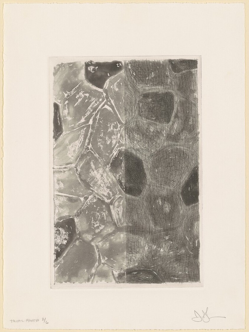 Flagstones (b) [trial proof 2]