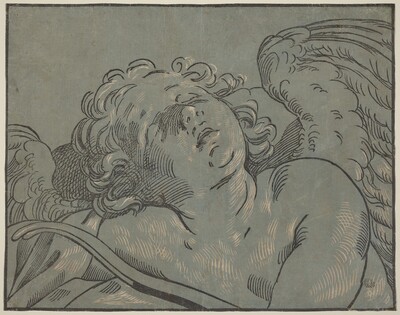 Cupid Asleep
