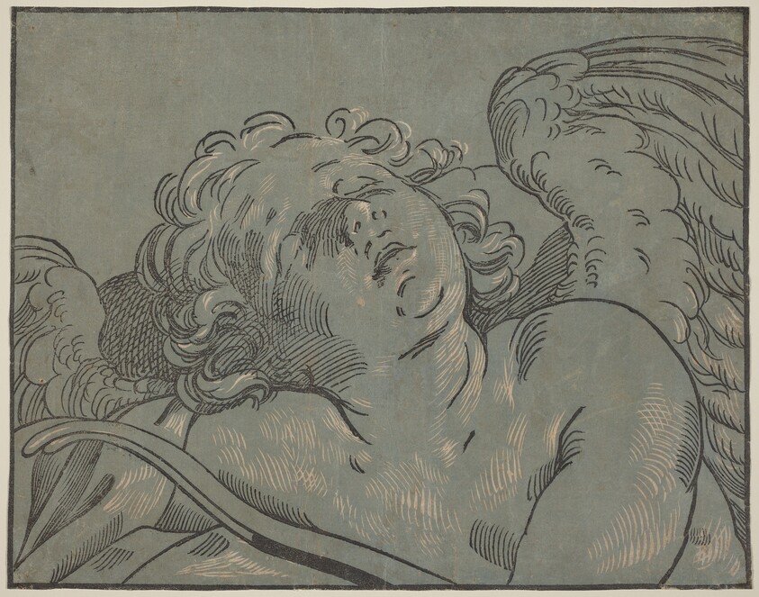 Cupid Asleep