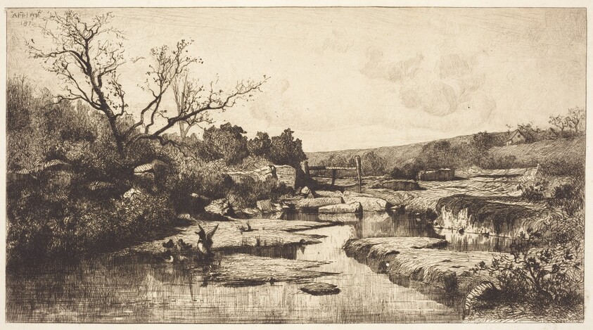 Landscape