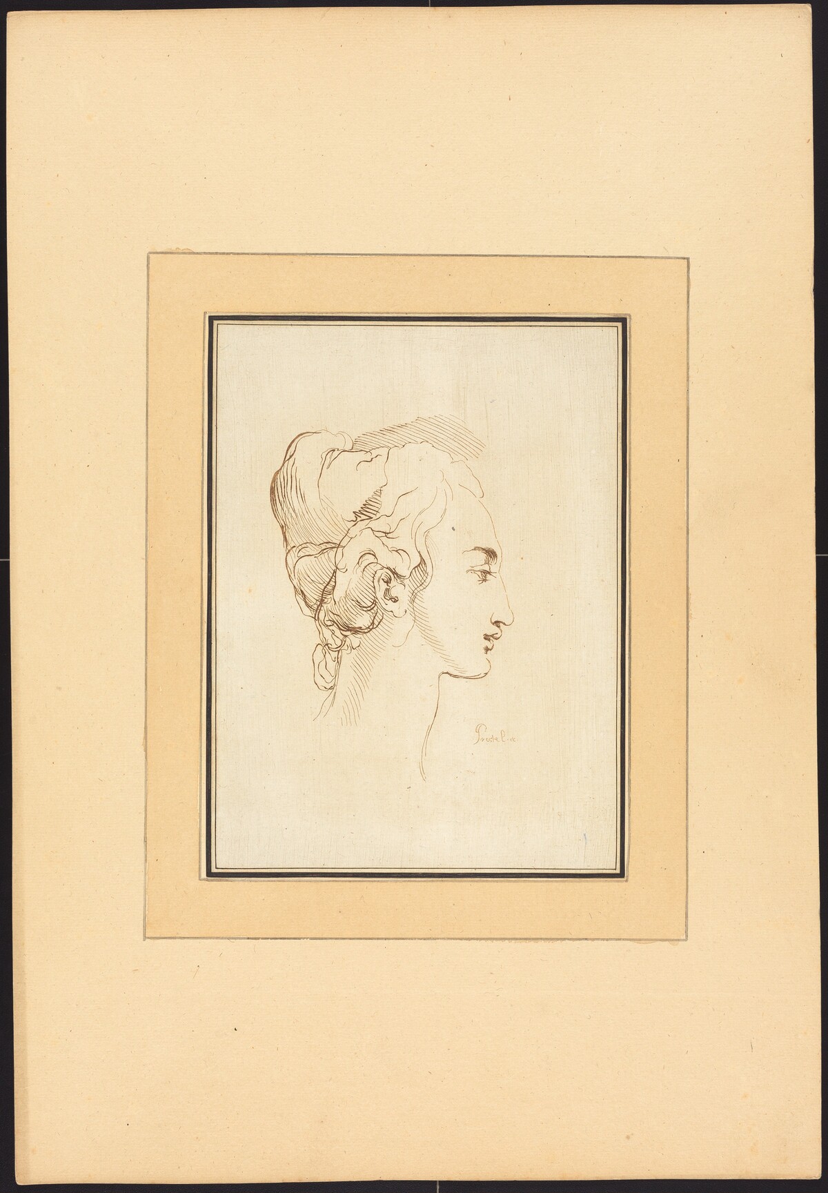 Head of a Woman