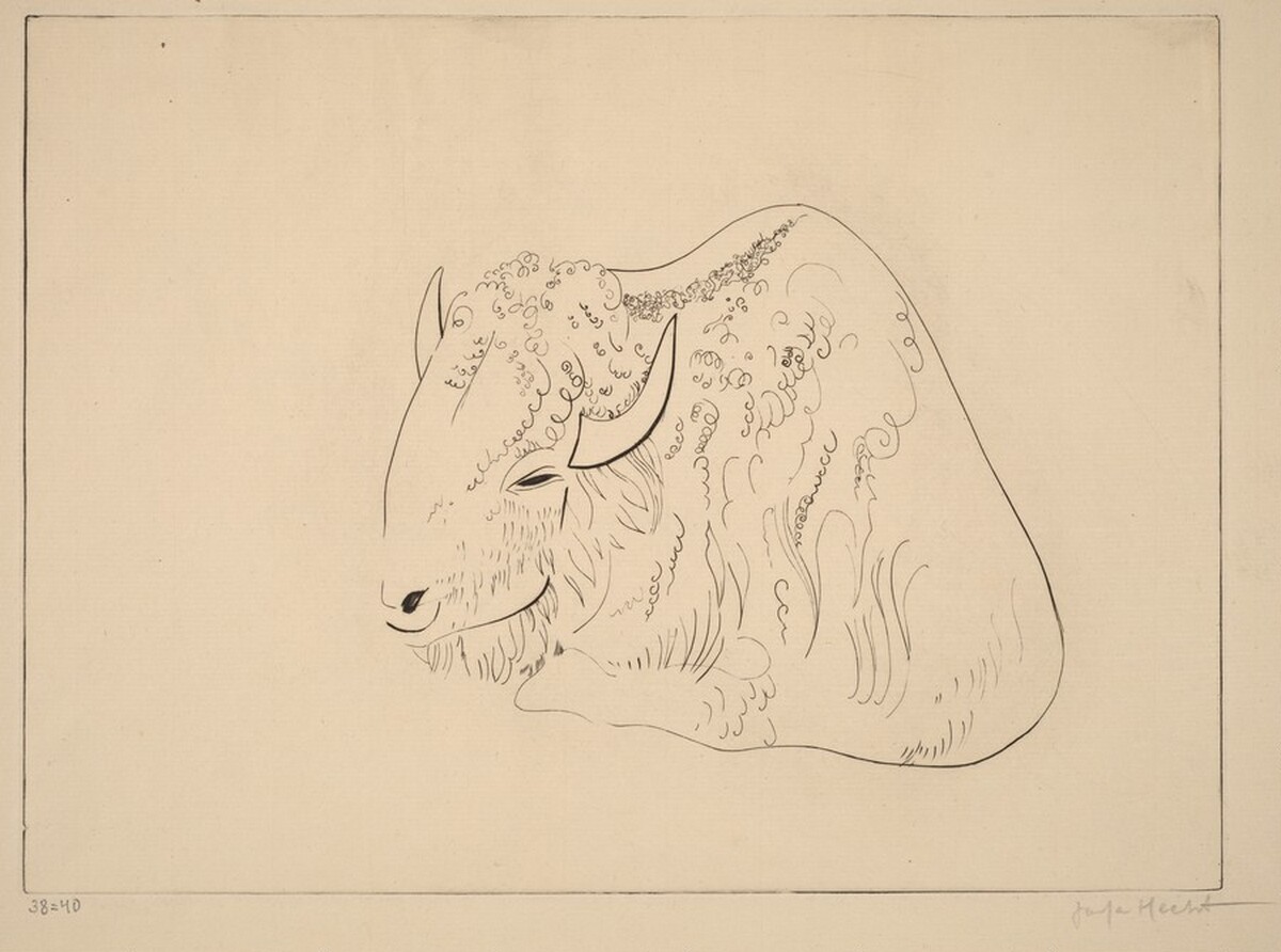Bison II