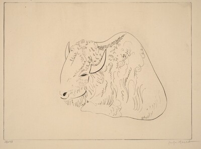 Bison II