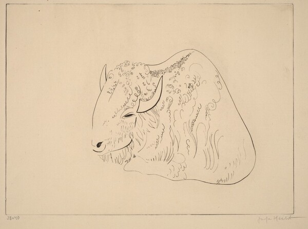 Bison II