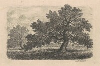 Apple Trees, Carl C. Brenner, 1870s-1880s