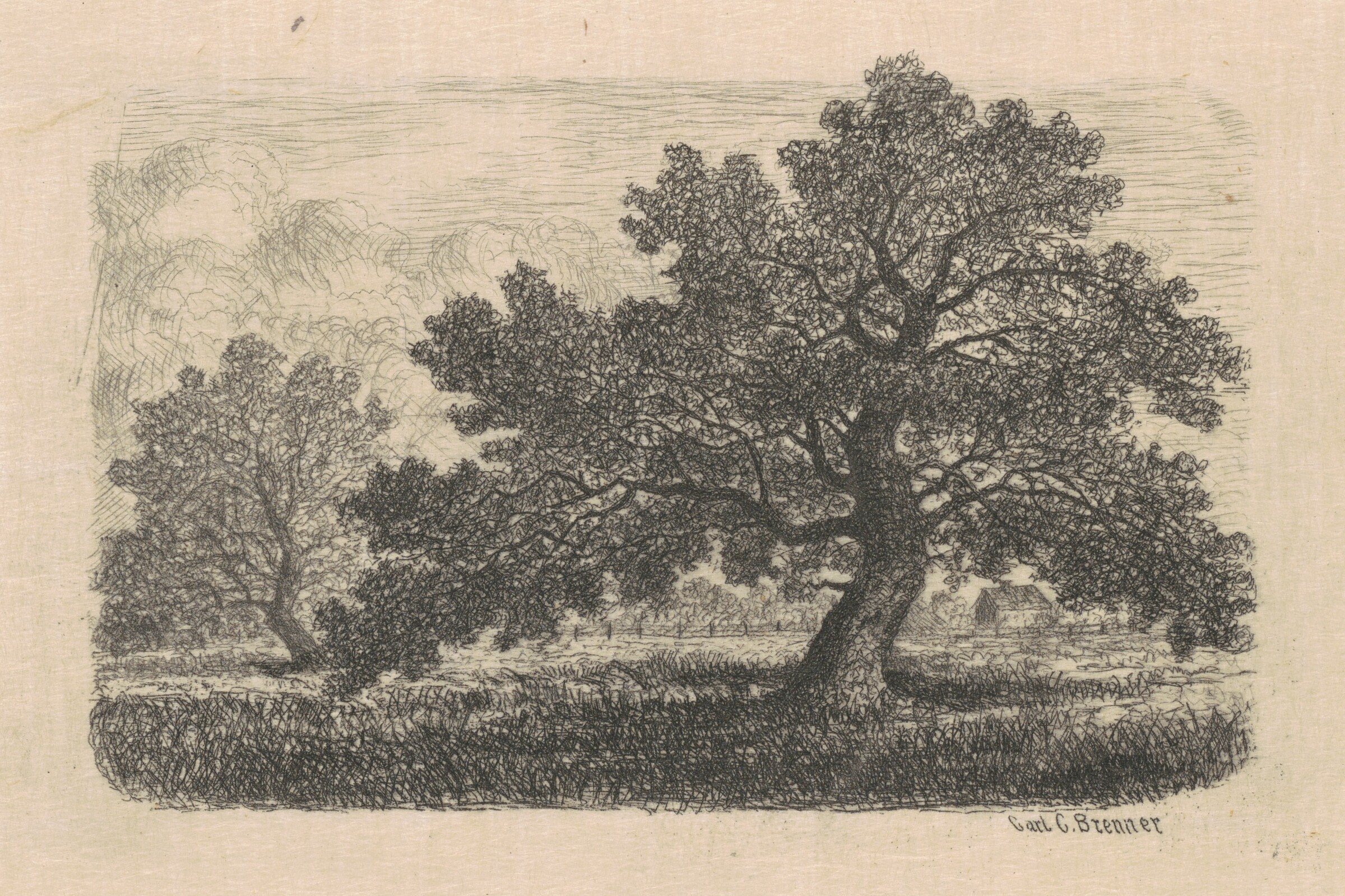 Apple Trees, Carl C. Brenner, 1870s-1880s