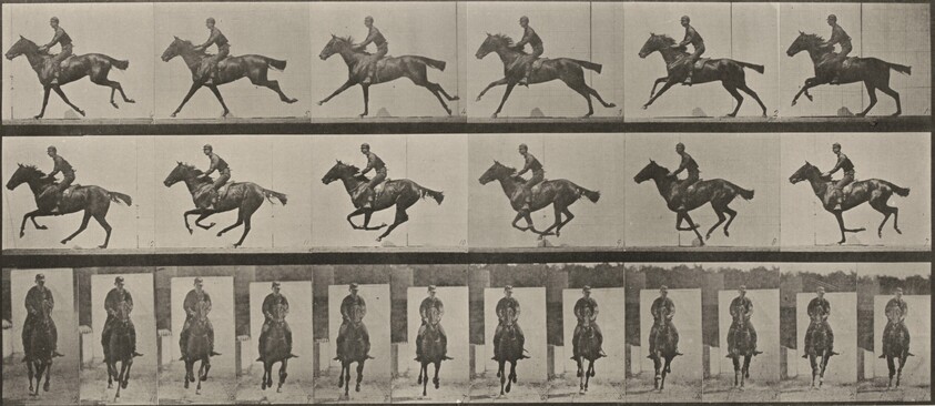 Plate Number 631. "Bouquet" galloping, saddled