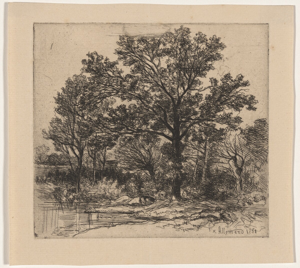 Study of Trees beside the Water (Étude d’arbres au bord d’une mare)