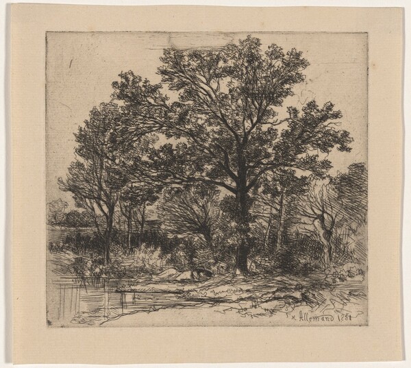Study of Trees beside the Water (Étude d’arbres au bord d’une mare)