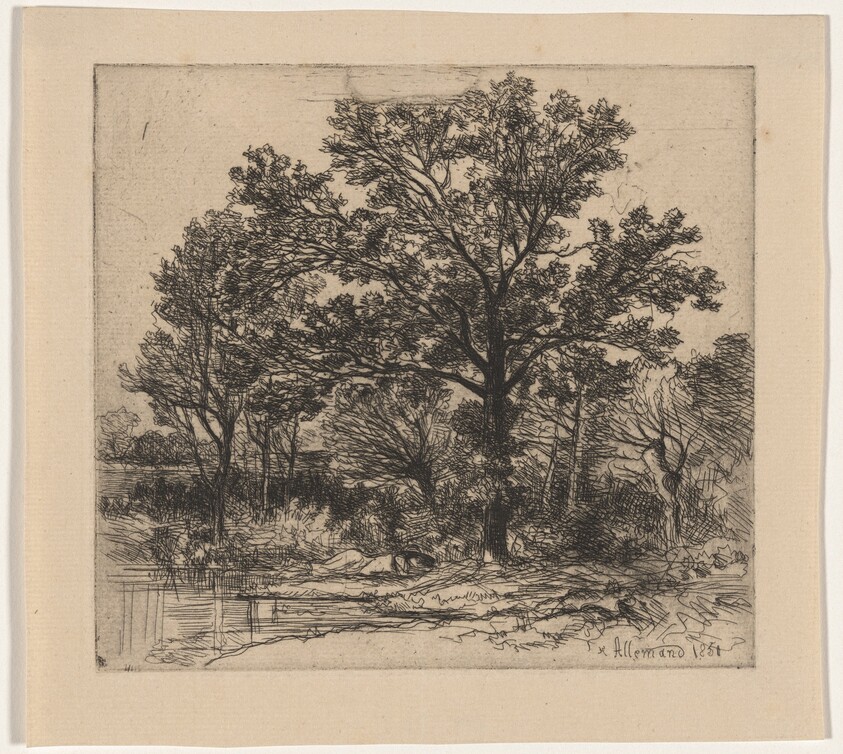 Study of Trees beside the Water (Étude d’arbres au bord d’une mare)