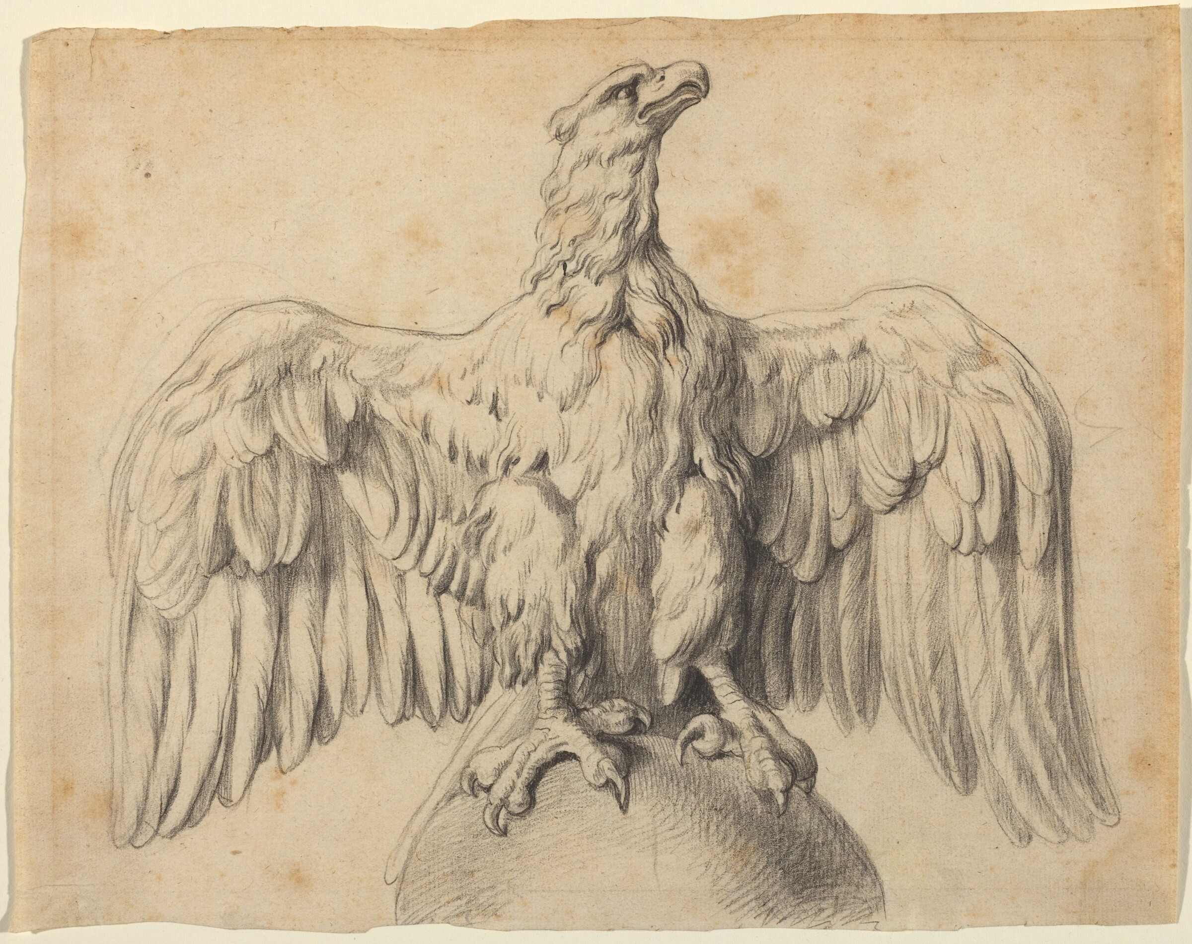 The Capitoline Eagle, Sir Peter Paul Rubens, c. 1601/1602