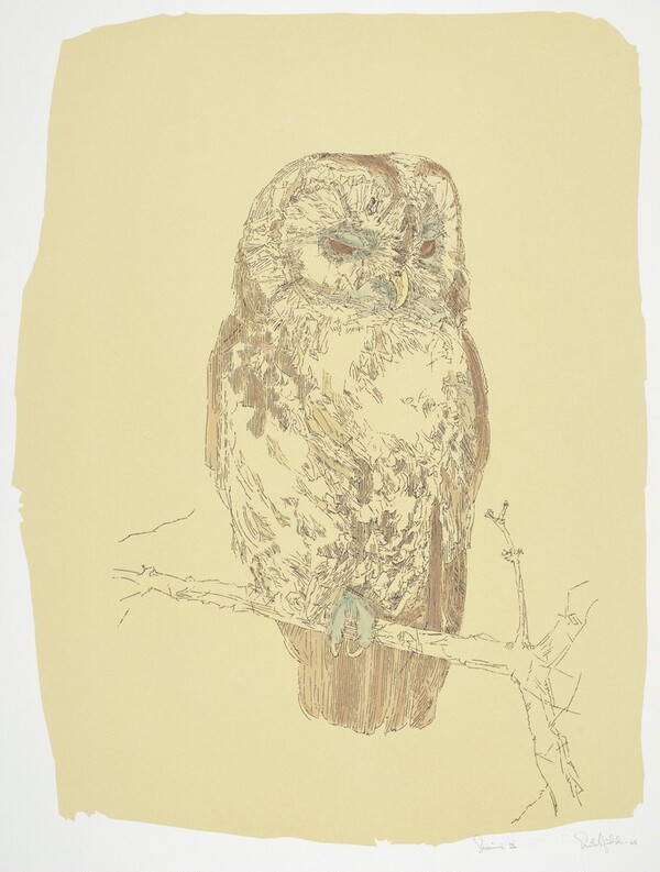 Tawny Owl (State I)