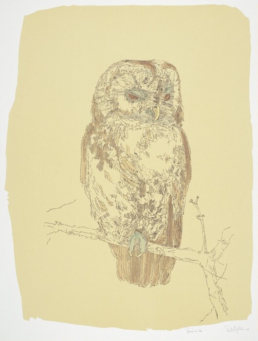 This is a drawing of an owl perched on a branch. The artwork depicts the owl with a focus on intricate line work and shading to highlight the texture of its feathers and its closed eyes. The composition is minimalist, with the owl occupying most of the central space on the page against a plain background. The detailed lines bring out the softness of the owl's plumage and the structure of the branch it sits upon, which is rendered in a similar style but with less density. The color palette is muted, focusing on earthy tones.