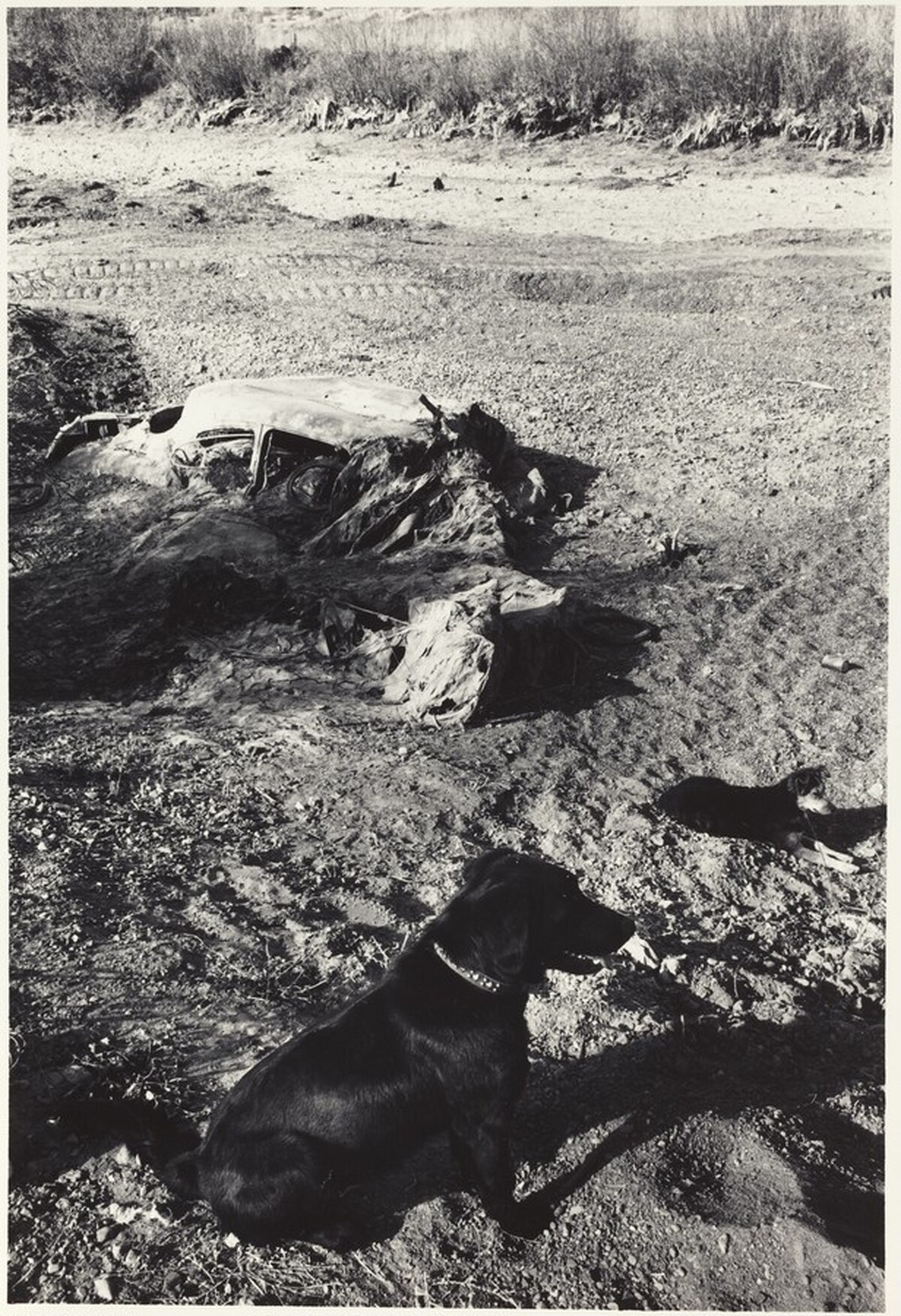 Elko, Nevada, Fall