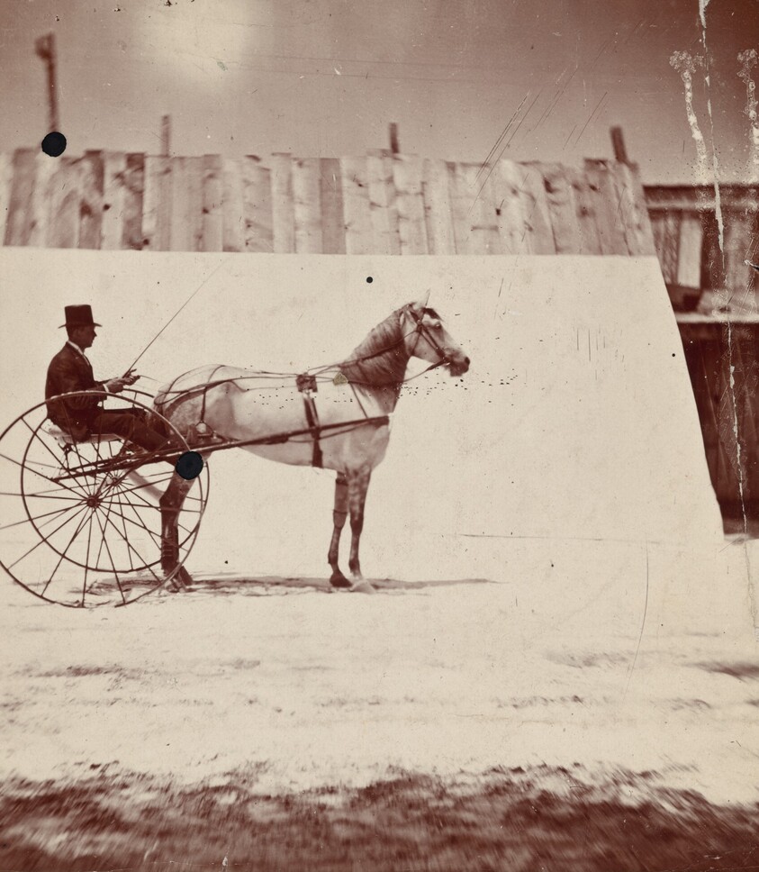 Detail of the Track at Leland Stanford's Horse Farm in Palo Alto