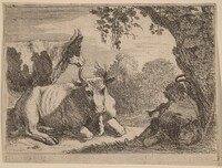 Cows, Herman van Swanevelt