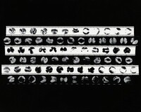 Cosmic Forms II, Barbara Crane, 1968