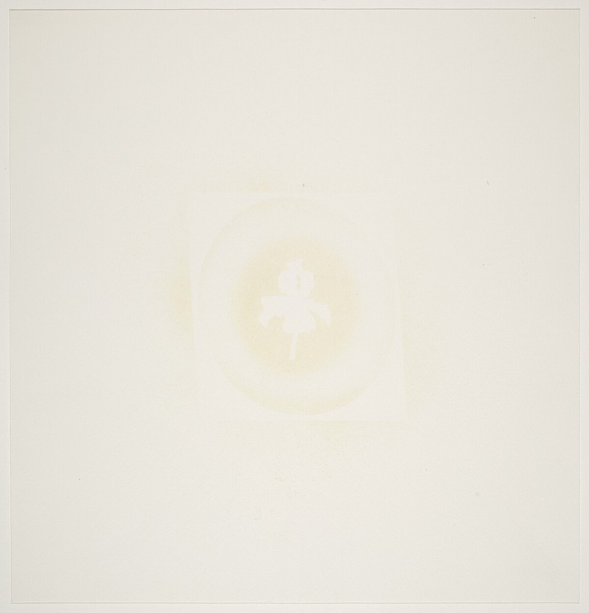 Hollywood Tropics Dracula