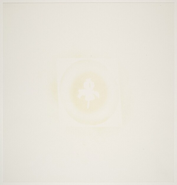 Hollywood Tropics Dracula