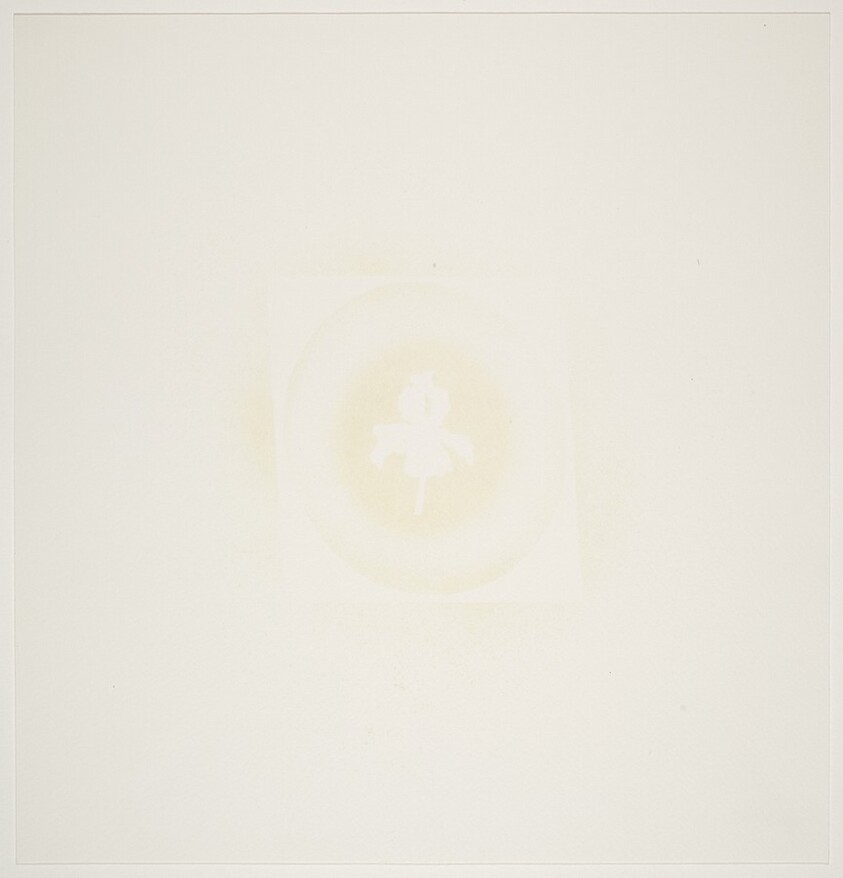 Hollywood Tropics Dracula