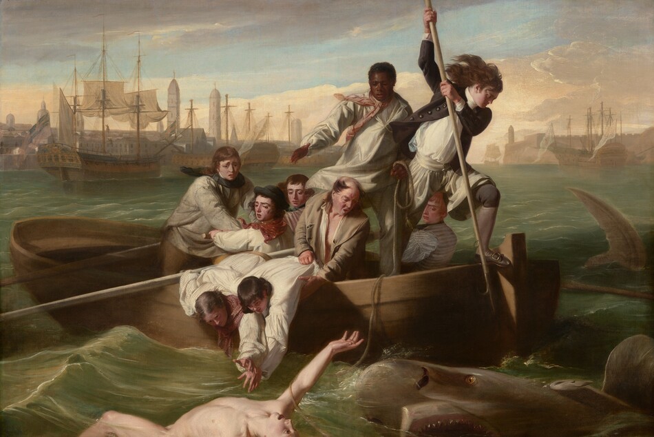 We look onto the side of a rowboat crowded with nine men trying to save a pale, nude young man who flails in the water in front of us as a shark approaches, mouth agape, from our right in this horizontal painting. In the water, the man floats with his chest facing the sky, his right arm overhead and the other stretched out by his side. Extending to our left, his left leg is bent and the right leg is straight, disappearing below the knee. His long blond hair swirls in the water and he arches his back, his wide-open eyes looking toward the shark behind him. To our right, the shark rolls up out of the water with its gaping jaws showing rows of pointed teeth. In the boat, eight of the men have light or tanned complexions, and one man has dark brown skin. The man with brown skin stands at the back center of the boat, and he holds one end of a rope, which falls across the boat and around the upper arm of the man in the water. Another man stands at the stern of the boat, to our right, poised with a long, hooked harpoon over the side of the boat, ready to strike the shark. His long dark hair blows back and he wears a navy-blue jacket with brass buttons, white breeches, blue stockings, and his shoes have silver buckles. Two other men wearing white shirts with blousy sleeves lean over the side of the boat, bracing each other as they reach toward the man in the water. An older, balding man holds the shirt and body of one of this pair and looks on, his mouth open. The other men hold long oars and look into the water with furrowed brows. The tip of a shark’s tail slices through the water to our right of the boat, near the right edge of the canvas. Along the horizon line, which comes three-quarters of the way up the composition, buildings and tall spires line the harbor. The masts of boats at port creates a row of crosses against the light blue sky. Steely gray clouds sweep across the upper left corner of the canvas and the sky lightens to pale, butter yellow at the horizon.