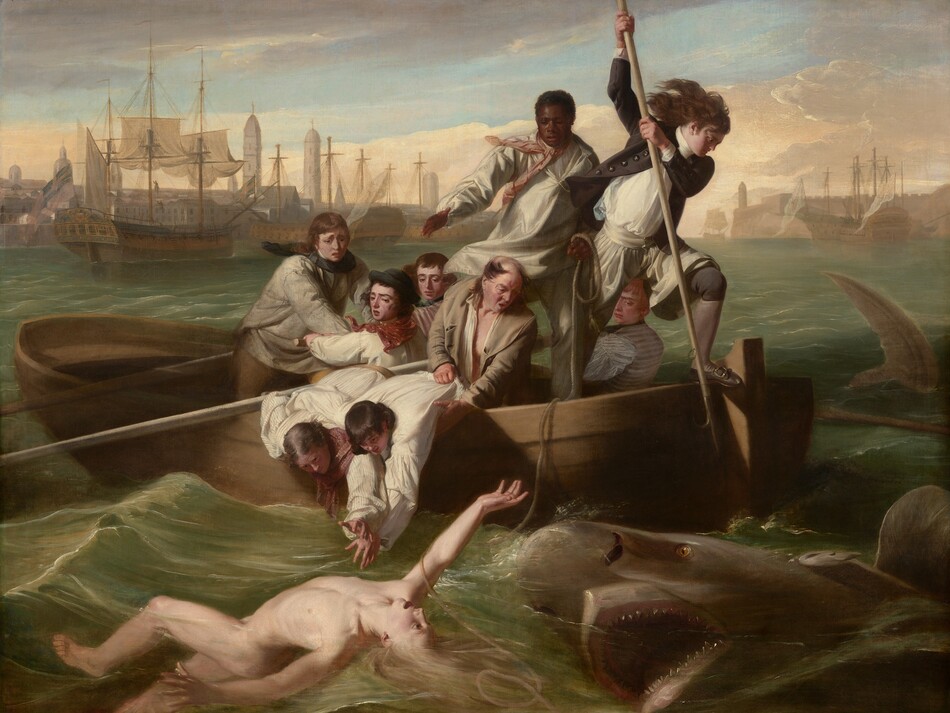 We look onto the side of a rowboat crowded with nine men trying to save a pale, nude young man who flails in the water in front of us as a shark approaches, mouth agape, from our right in this horizontal painting. In the water, the man floats with his chest facing the sky, his right arm overhead and the other stretched out by his side. Extending to our left, his left leg is bent and the right leg is straight, disappearing below the knee. His long blond hair swirls in the water and he arches his back, his wide-open eyes looking toward the shark behind him. To our right, the shark rolls up out of the water with its gaping jaws showing rows of pointed teeth. In the boat, eight of the men have light or tanned complexions, and one man has dark brown skin. The man with brown skin stands at the back center of the boat, and he holds one end of a rope, which falls across the boat and around the upper arm of the man in the water. Another man stands at the stern of the boat, to our right, poised with a long, hooked harpoon over the side of the boat, ready to strike the shark. His long dark hair blows back and he wears a navy-blue jacket with brass buttons, white breeches, blue stockings, and his shoes have silver buckles. Two other men wearing white shirts with blousy sleeves lean over the side of the boat, bracing each other as they reach toward the man in the water. An older, balding man holds the shirt and body of one of this pair and looks on, his mouth open. The other men hold long oars and look into the water with furrowed brows. The tip of a shark’s tail slices through the water to our right of the boat, near the right edge of the canvas. Along the horizon line, which comes three-quarters of the way up the composition, buildings and tall spires line the harbor. The masts of boats at port creates a row of crosses against the light blue sky. Steely gray clouds sweep across the upper left corner of the canvas and the sky lightens to pale, butter yellow at the horizon.