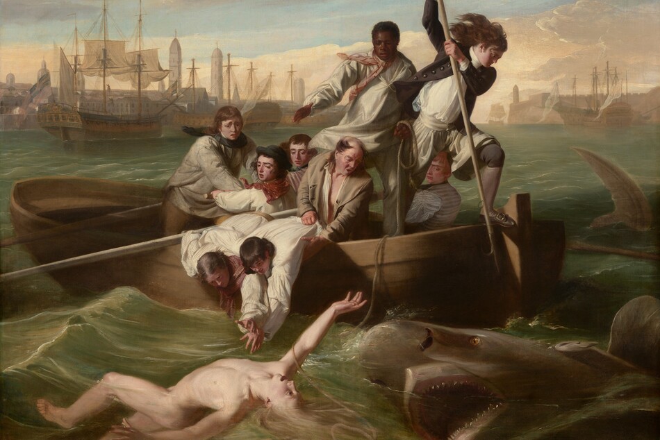 We look onto the side of a rowboat crowded with nine men trying to save a pale, nude young man who flails in the water in front of us as a shark approaches, mouth agape, from our right in this horizontal painting. In the water, the man floats with his chest facing the sky, his right arm overhead and the other stretched out by his side. Extending to our left, his left leg is bent and the right leg is straight, disappearing below the knee. His long blond hair swirls in the water and he arches his back, his wide-open eyes looking toward the shark behind him. To our right, the shark rolls up out of the water with its gaping jaws showing rows of pointed teeth. In the boat, eight of the men have light or tanned complexions, and one man has dark brown skin. The man with brown skin stands at the back center of the boat, and he holds one end of a rope, which falls across the boat and around the upper arm of the man in the water. Another man stands at the stern of the boat, to our right, poised with a long, hooked harpoon over the side of the boat, ready to strike the shark. His long dark hair blows back and he wears a navy-blue jacket with brass buttons, white breeches, blue stockings, and his shoes have silver buckles. Two other men wearing white shirts with blousy sleeves lean over the side of the boat, bracing each other as they reach toward the man in the water. An older, balding man holds the shirt and body of one of this pair and looks on, his mouth open. The other men hold long oars and look into the water with furrowed brows. The tip of a shark’s tail slices through the water to our right of the boat, near the right edge of the canvas. Along the horizon line, which comes three-quarters of the way up the composition, buildings and tall spires line the harbor. The masts of boats at port creates a row of crosses against the light blue sky. Steely gray clouds sweep across the upper left corner of the canvas and the sky lightens to pale, butter yellow at the horizon.