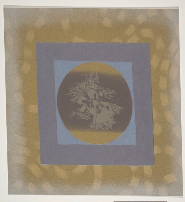 Cockatoo AAA Dracula