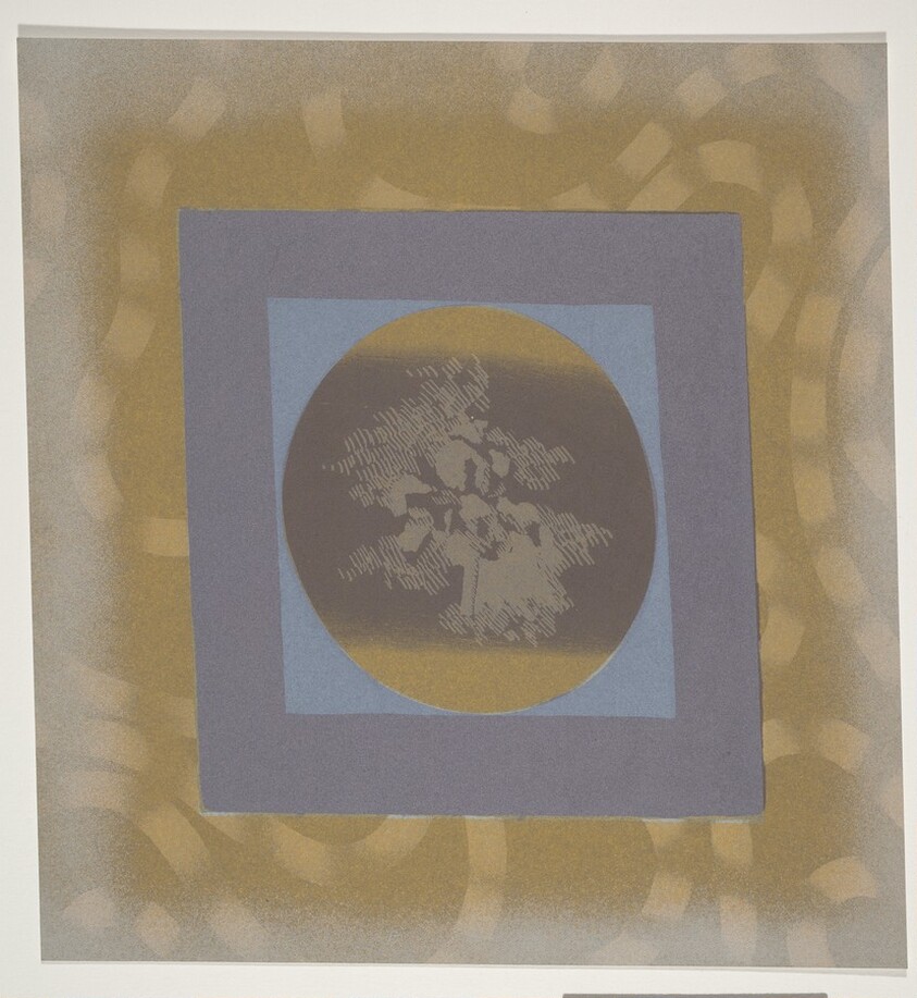 Cockatoo AAA Dracula