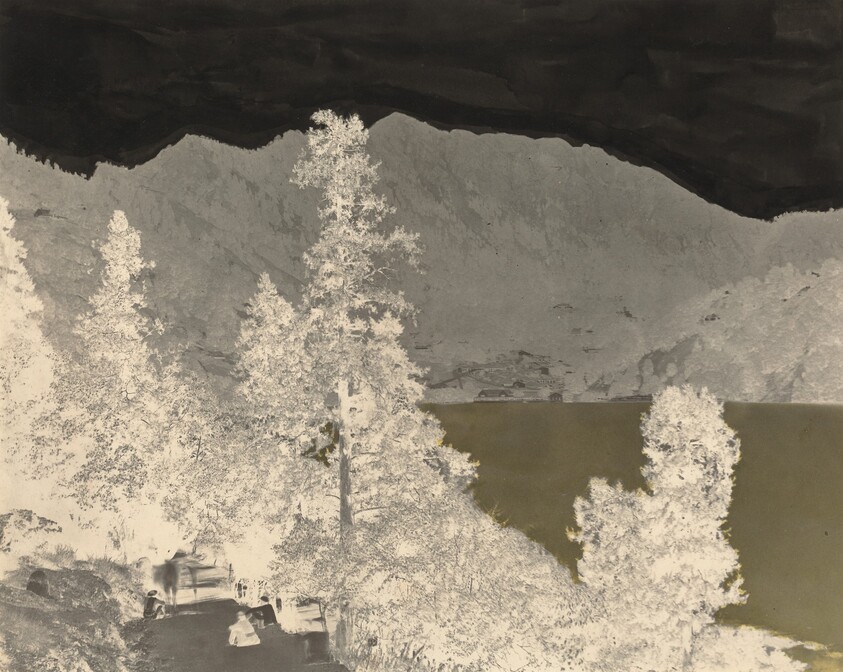 Nynee Tall from South End