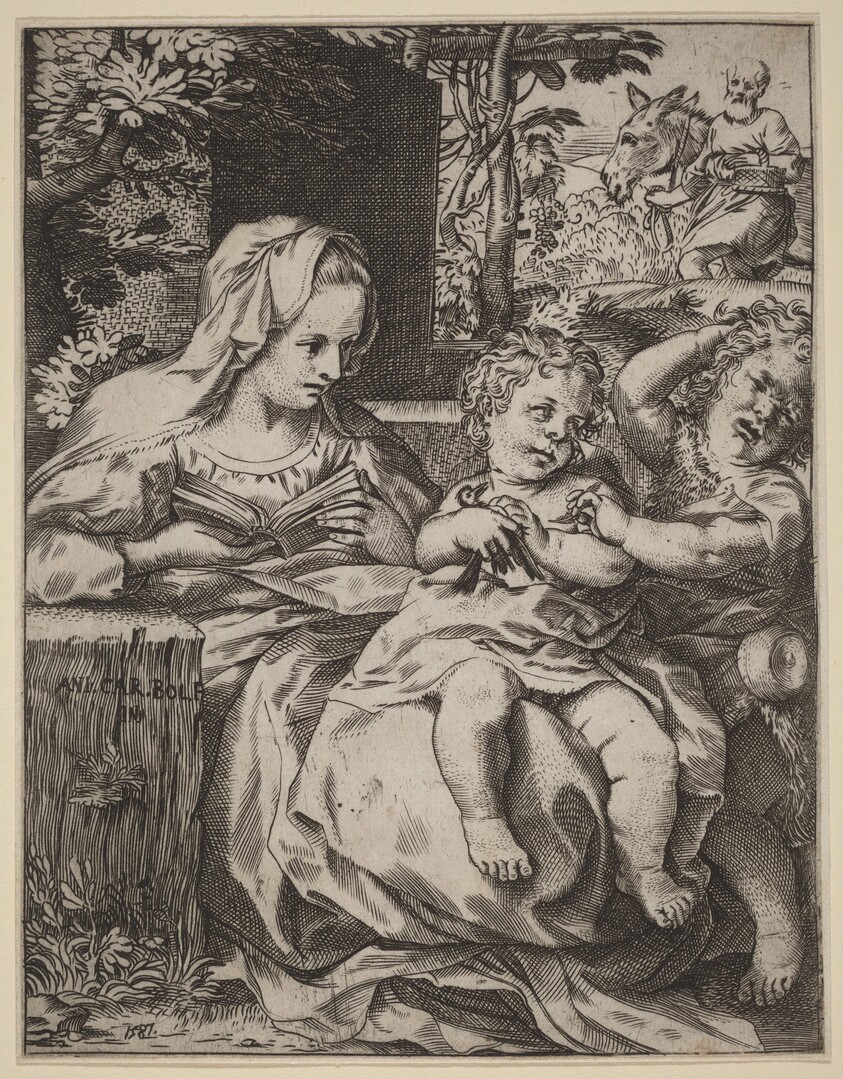 The Madonna of the Swallow (La Madonna Della Rondinella)